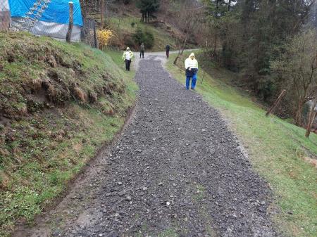 16182950257546885419072893624102