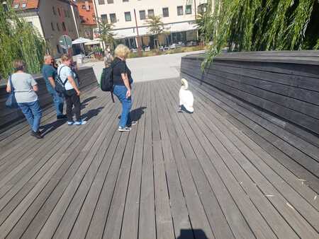 IMG-20260916-WA0004